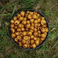 Parker Baits Nossa Nuts Jars